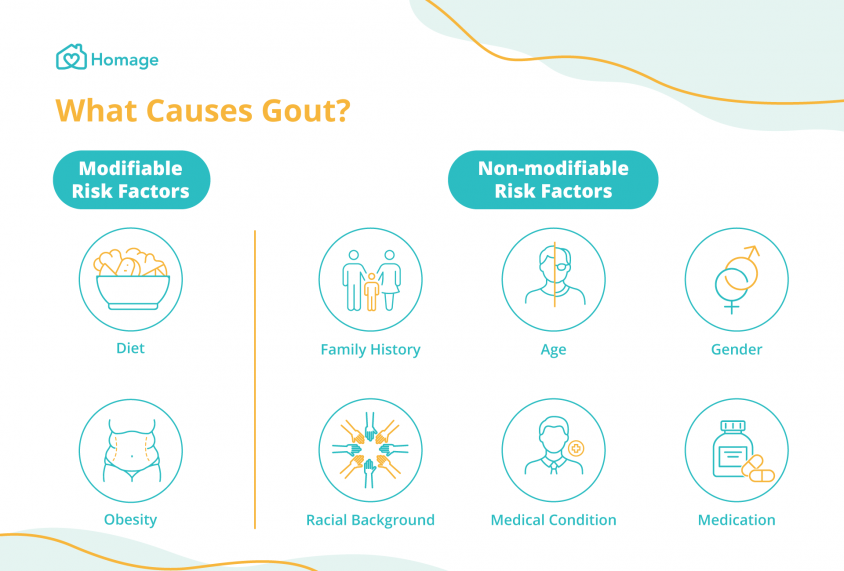 Gout Causes