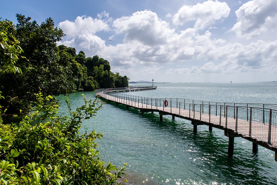 Chek Jawa Broadwalk in Pulau Ubin Singapore