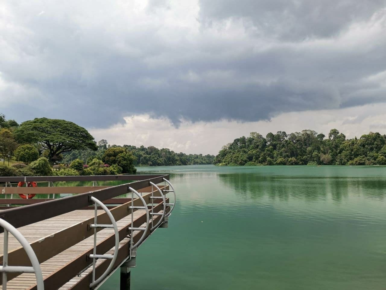 MacRitchie Reservoir Park